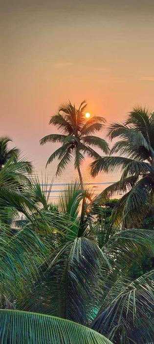 Kumbaya Beachside Hostel & Apartments at Arambol Beach