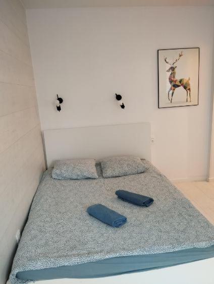 Studio Podwale Przedmiejskie