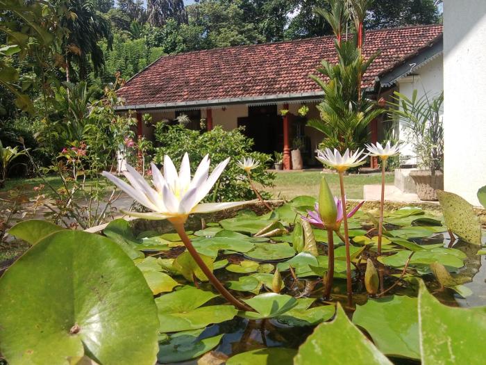 Minu Homestay & Villa