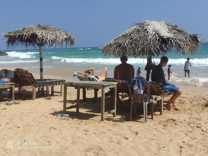 Goyambokka Peacock Guest