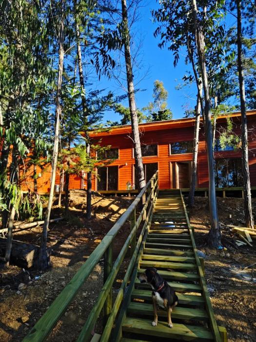 Cabañas Bosque marino