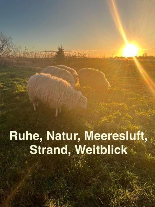 Marijanas Ferienhof 1, Urlaub mit viel Platz zwischen Dornumersiel und Bensersiel