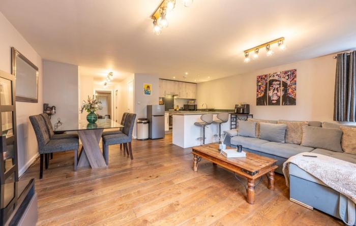 Modern apartment in the city centre