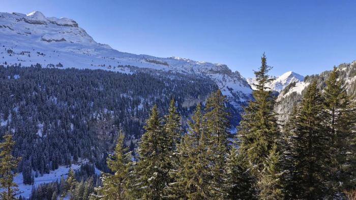 Résidence Les Pleiades - Appartement rénové · Centre station · Balcon · Parking couvert MAE-8234