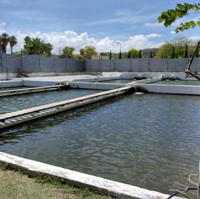 El salto del Río Conchos