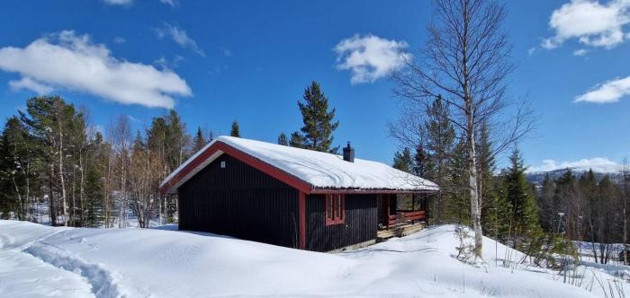 Sauna | Wi-Fi | Terrace | Wood stove | Cable TV
