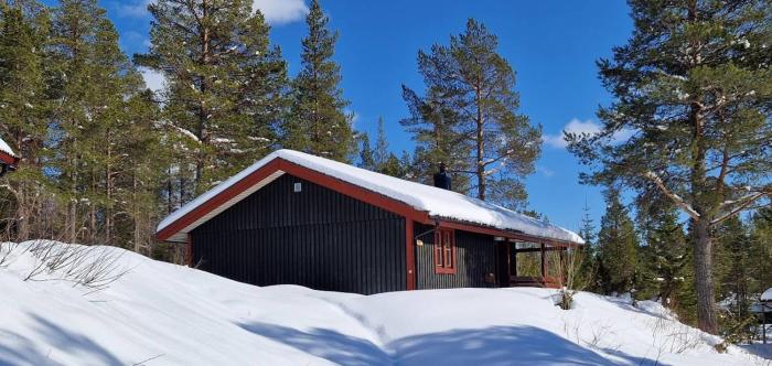 Sauna | Wi-Fi | Terrace | Wood stove | Cable TV
