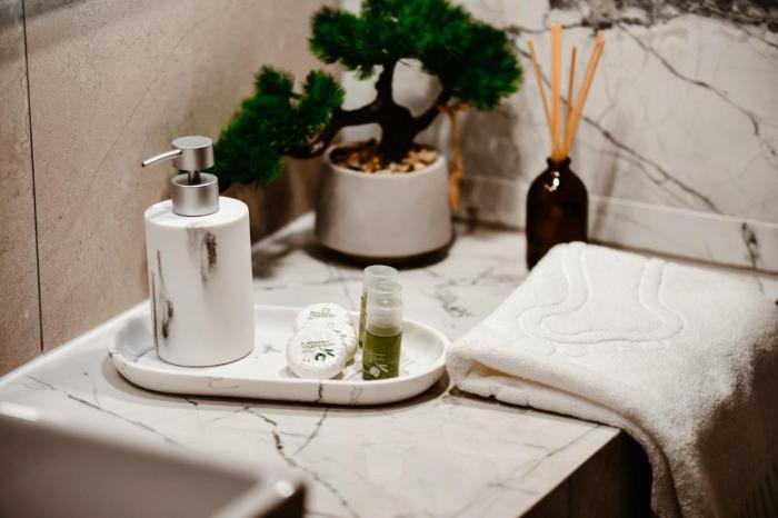 Luxury Apartament Coresi