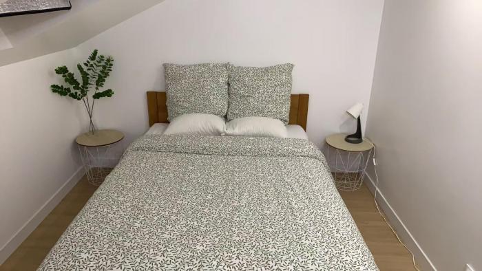 6奥利机场 卢浮宫 艾菲尔铁塔 巴黎圣母院