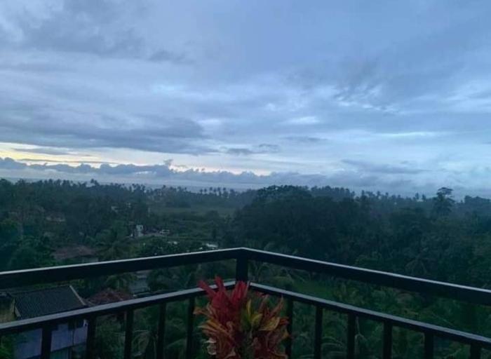 Beach Paddy View Villa