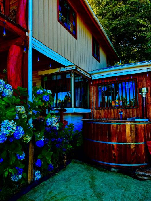 Lican Ray 6 personas