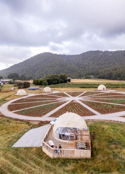 Mount Gnomon Farm