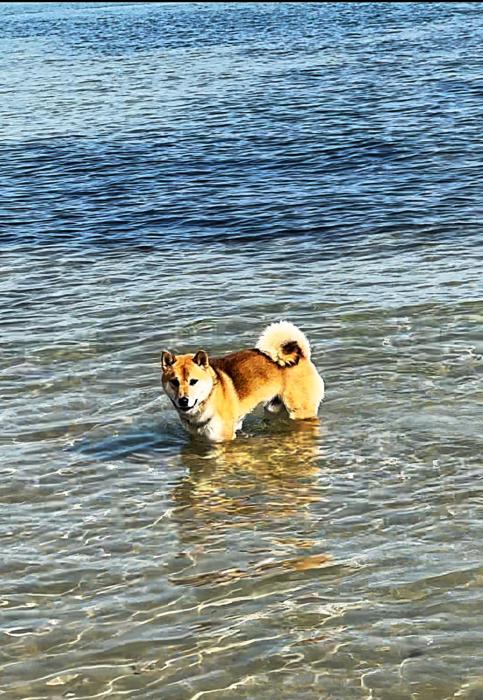 FRONTE MARE - A Due Passi dal Blu