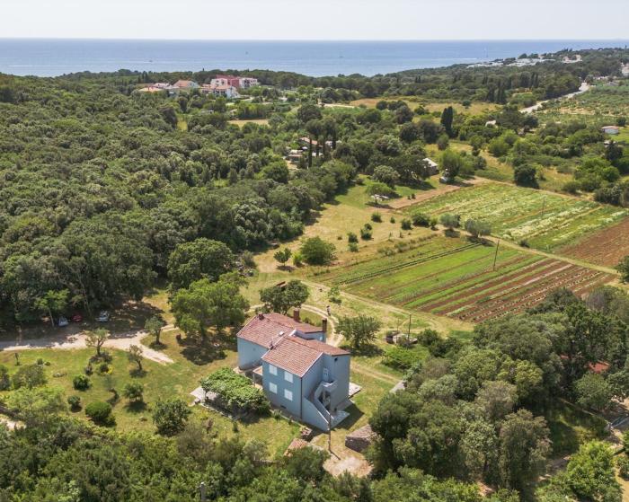 Apartment Irena 2, free parking, 10 min from sea