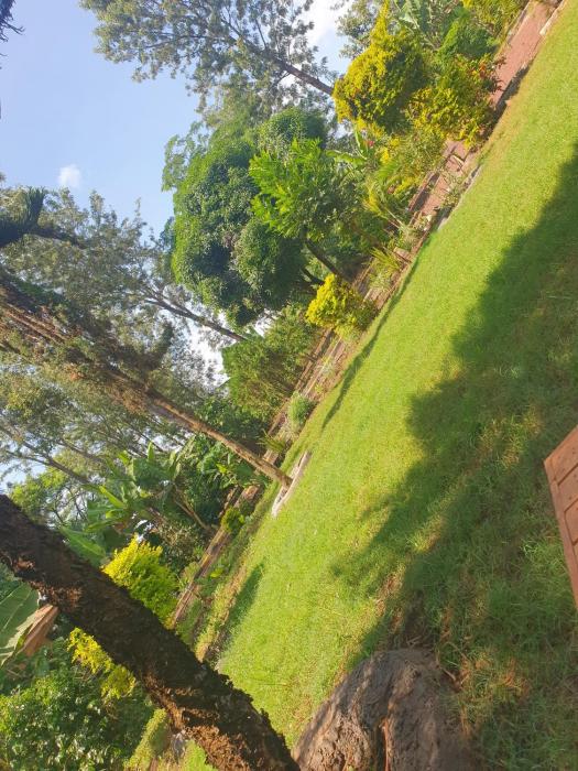 Sinana country Home-Backpackers Stay