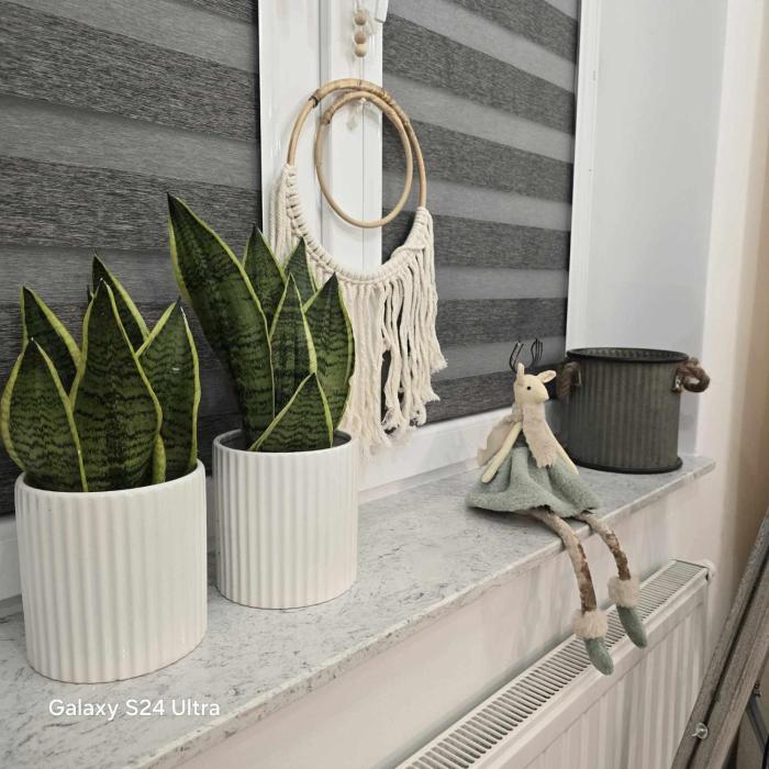 Apartament Stop w Ustrzykach Dolnych