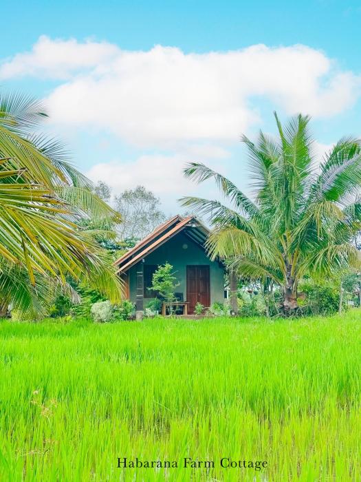 Habarana Farm Cottage