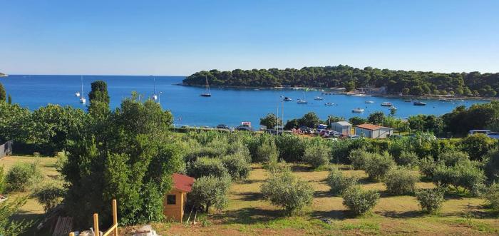 Fragrances of Istria - The Olives - on the sea of Stoia