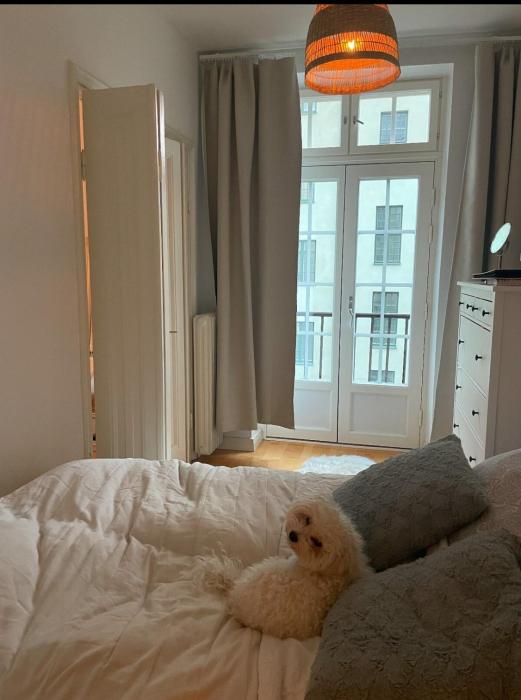 Compact one-bedroom apartment in Taka-Töölö