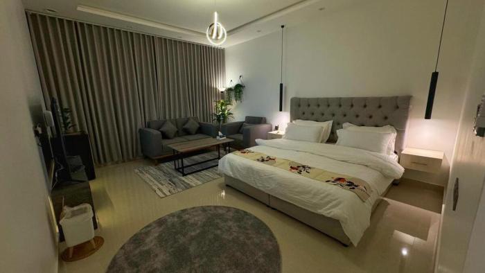 استديو هادي وانيق