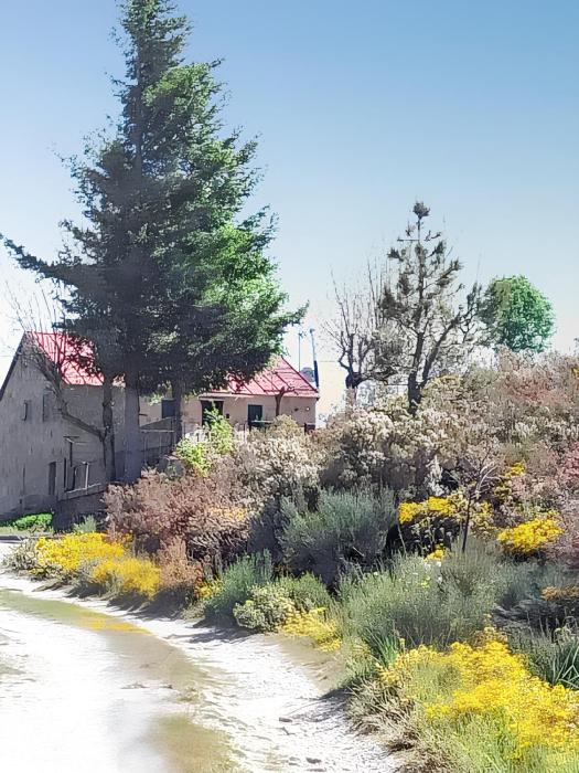 Comfortable house in Cortes do Meio with garden