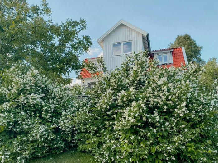 30S Holiday Home Near Nature And Sea