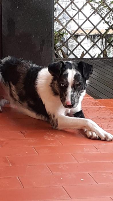 Casa de hospedes 436