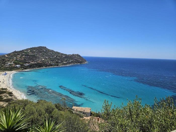 Cinema & Stars by Paola