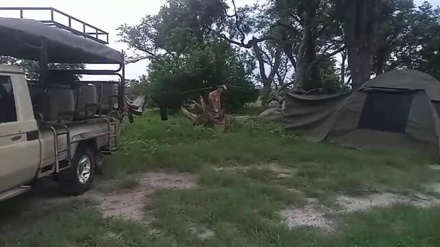 Savuti Mobile Camping Safaris