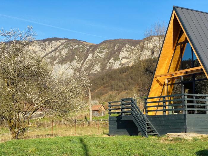 Sălciuella Dream Cabin