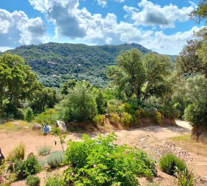 incore di u maquis corsu