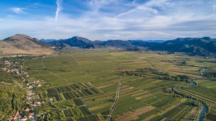 Villa Granny Nevenka near MAKARSKA