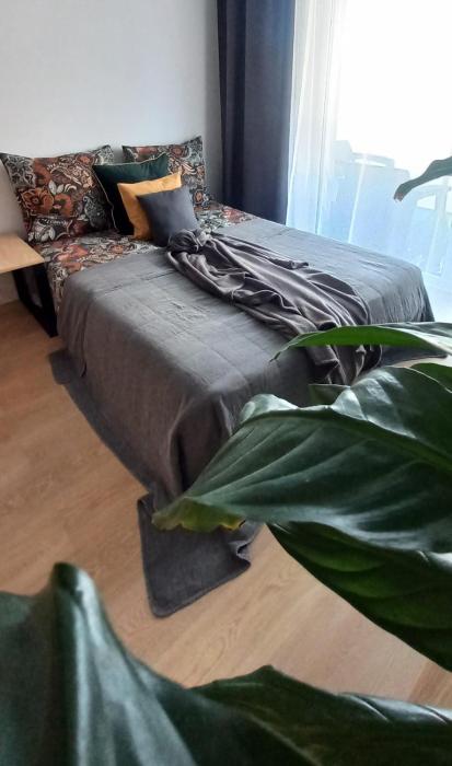 Słoneczny Apartament Poleska