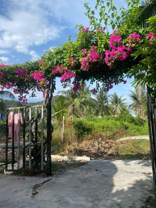 Pepper In Nha Trang Homestay