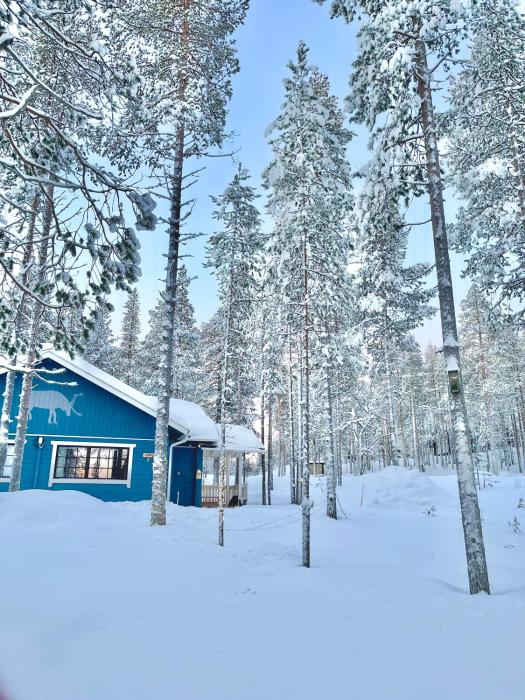 Hippu Holiday Home in peaceful location near Äkäslompolo