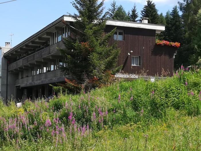 Appartamento Residence Sacha a Marilleva 1400 by Happy Holidays