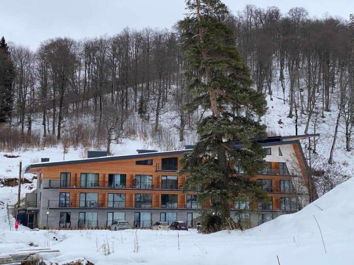 Bakuriani Oasis WINDOW DEVELOPMENT 2