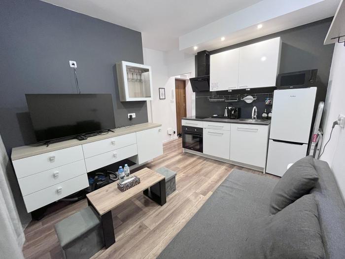 Apartment near the Castle Malbork