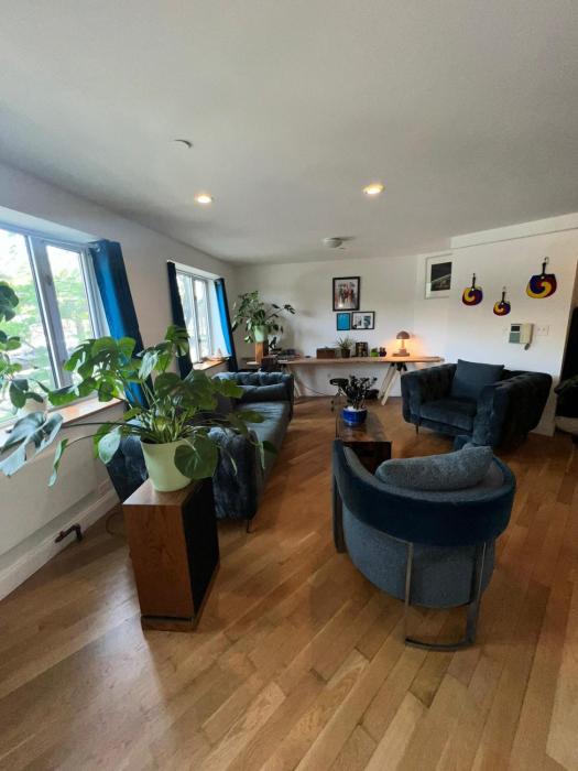 4 PEEPS Apt INWILLIAMSBURG