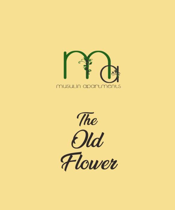 The Old Flower
