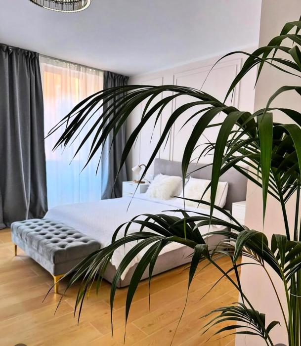 LB - Luna Luxury Suite