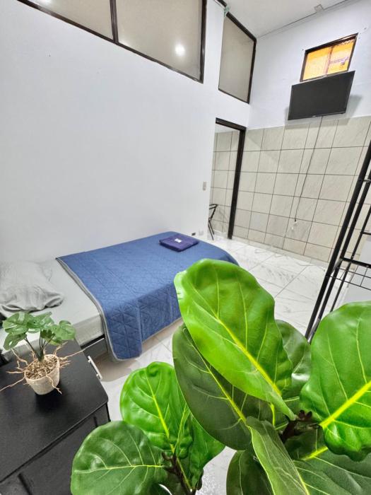 Global House Apartamento 1 Alajuela