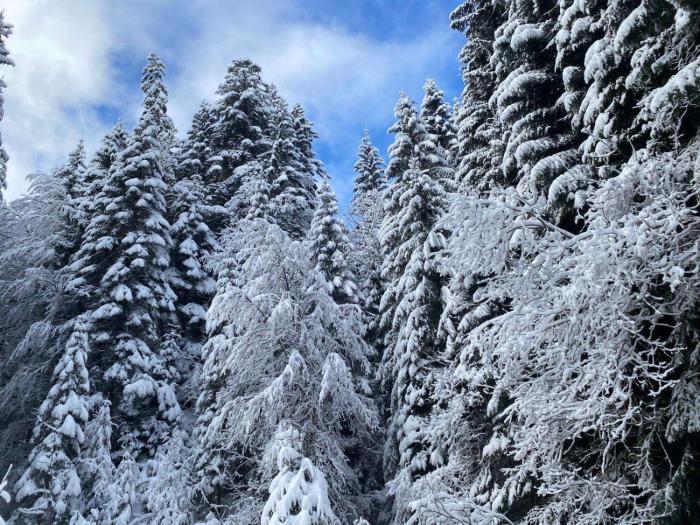 Appartement pour 4 avec parking