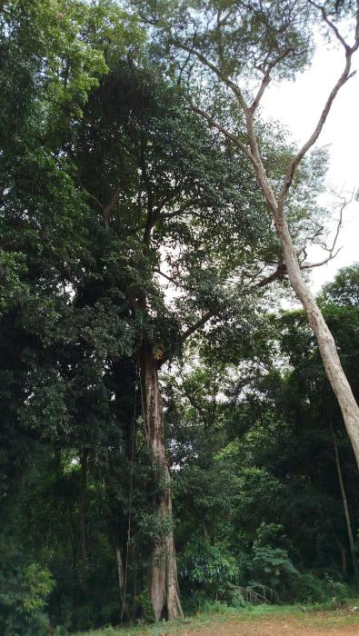 La Reserva