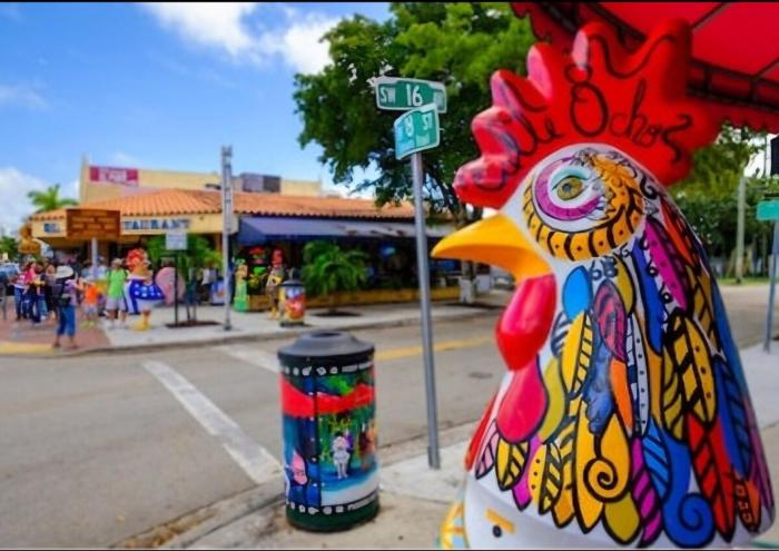 Cozy Entire apartment in the heart of Miami