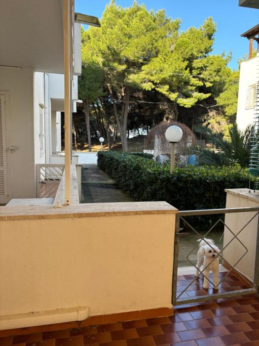 Appartamento ARIADIMARE fronte spiaggia Rivabella Gallipoli