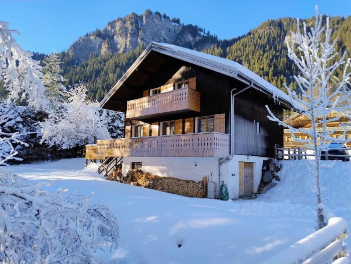 Chalet La Ravine