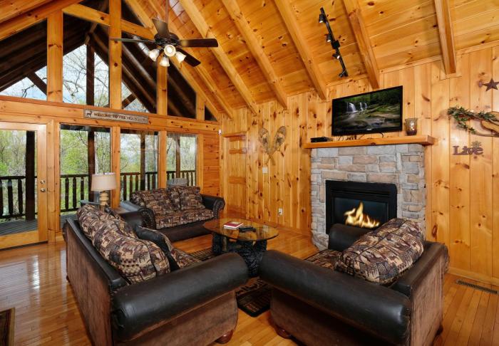 Hot tub and arcade game! Enjoy TRANQUIL MOMENTS at this stunning 2BR log cabin!