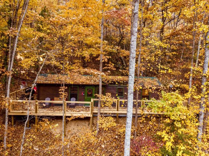 Clean, cozy pet friendly cabin- hot tub, big deck, firepit, arcade games, washer and dryer!