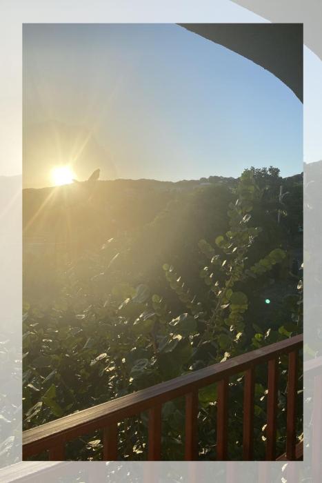 JAMAICA Like a Local, A Perfect Girls Getaway with Curated Excursions